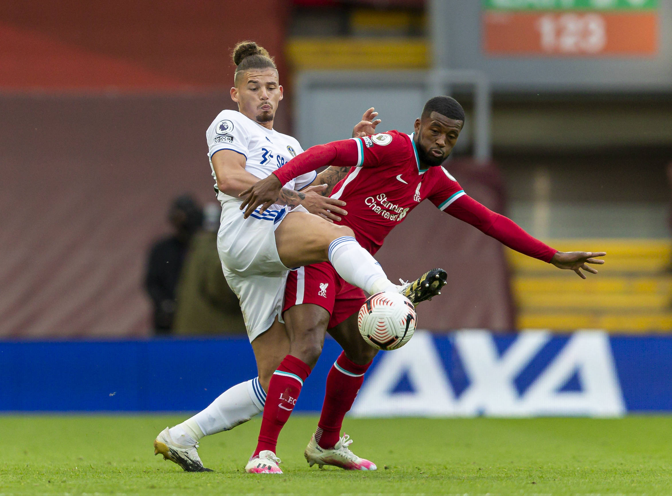 养选手的全 养选手的全